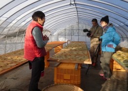 梅平191216撮影報告