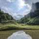 上映会翌日棚田